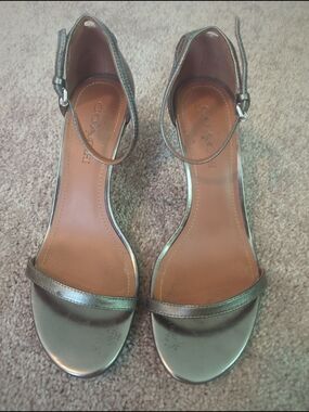 Coach Metallic Silver Ankle-Strap Heels